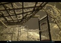 Risale Dersi 227: Asâyı Musa 24 (11.mesele 5) Risale Dersi 227: Asâyı Musa 24 (11.mesele 5)