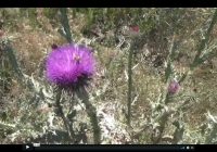 Risale Dersi 256: Asâ-yı musa 41 3.Hüccet-i İmaniye 1 Risale Dersi 256: Asâ-yı musa 41 3.Hüccet-i İmaniye 1