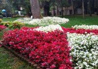 Risale Dersi 419: 11.Lem’a 1 Risale Dersi 419: 11.Lem’a 1