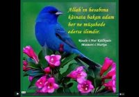 Risale Dersi 416: 10.Lem’a 1 Risale Dersi 416: 10.Lem’a 1