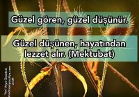 Risale Dersi 447: 17.Lem’a 3 Risale Dersi 447: 17.Lem’a 3
