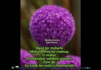 Risale Dersi 445: 17.Lem’a 1 Risale Dersi 445: 17.Lem’a 1