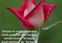 Risale Dersi 441: 16.Lem’a 2 Risale Dersi 441: 16.Lem’a 2