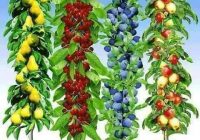 Risale Dersi 451: 17.Lem’a 7 Risale Dersi 451: 17.Lem’a 7