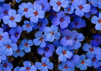 Risale Dersi 548: 3.Mektup Risale Dersi 548: 3.Mektup