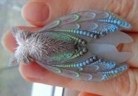 Risale Dersi 554: 9.Mektup 1 Risale Dersi 554: 9.Mektup 1