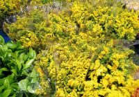 Risale Dersi 569: 17.Mektup Risale Dersi 569: 17.Mektup