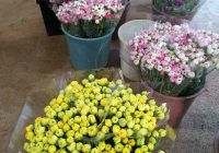 Risale Dersi 577: 19.Mektup 5 Risale Dersi 577: 19.Mektup 5