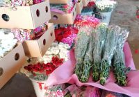 Risale Dersi 581: 19.Mektup 9 Risale Dersi 581: 19.Mektup 9