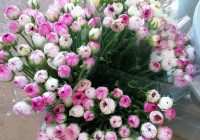 Risale Dersi 583: 19.Mektup 11 Risale Dersi 583: 19.Mektup 11