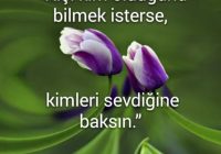 Risale Dersi 587: 19.Mektup 15