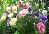 Risale Dersi 591: 19.Mektup 19 Risale Dersi 591: 19.Mektup 19