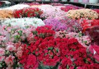 Risale Dersi 593: 19.Mektup 21 Risale Dersi 593: 19.Mektup 21