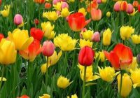 Risale Dersi 595: 19.Mektup 23 Risale Dersi 595: 19.Mektup 23