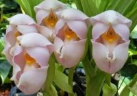 Risale Dersi 597: 19.Mektup 25 Risale Dersi 597: 19.Mektup 25