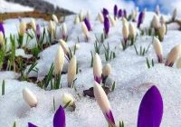 Risale Dersi 599: 19.Mektup 27 Risale Dersi 599: 19.Mektup 27