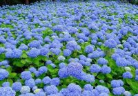 Risale Dersi 612: 20.Mektup 1 Risale Dersi 612: 20.Mektup 1