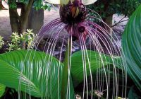 Risale Dersi 615: 20.Mektup 4 Risale Dersi 615: 20.Mektup 4