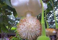 Risale Dersi 617: 20.Mektup 6 Risale Dersi 617: 20.Mektup 6