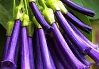 Risale Dersi 619: 20.Mektup 8 Risale Dersi 619: 20.Mektup 8