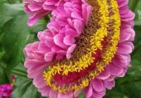 Risale Dersi 621: 20.Mektup 10 Risale Dersi 621: 20.Mektup 10