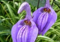 Risale Dersi 633: 24.Mektup 2 Risale Dersi 633: 24.Mektup 2