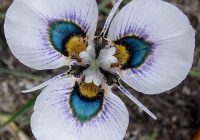 Risale Dersi 639: 26.Mektup 1 Risale Dersi 639: 26.Mektup 1