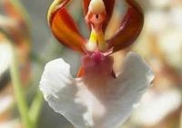 Risale Dersi 643: 26.Mektup 5 Risale Dersi 643: 26.Mektup 5