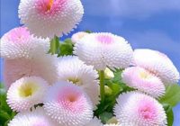 Risale Dersi 647: 26.Mektup 9 Risale Dersi 647: 26.Mektup 9