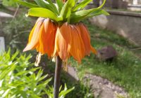 Risale Dersi 649: 26.Mektup 11 Risale Dersi 649: 26.Mektup 11