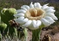 Risale Dersi 660: 28.Mektup 10 Risale Dersi 660: 28.Mektup 10