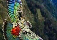 Risale Dersi 663: 28.Mektup 13 Risale Dersi 663: 28.Mektup 13