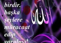 Risale Dersi 689: 29 Mektup 25 Risale Dersi 689: 29 Mektup 25