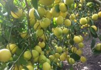 Risale Dersi 674: 29.Mektup 10 Risale Dersi 674: 29.Mektup 10