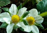 Risale Dersi 678: 29 Mektup 14 Risale Dersi 678: 29 Mektup 14