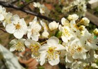 Risale Dersi 679: 29.Mektup 15 Risale Dersi 679: 29.Mektup 15