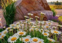 Risale Dersi 684: 29 Mektup 20 Risale Dersi 684: 29 Mektup 20