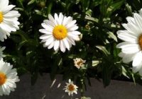 Risale Dersi 690: 29.Mektup 26 Risale Dersi 690: 29.Mektup 26