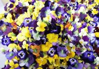 Risale Dersi 693: 29.Mektup 29 Risale Dersi 693: 29.Mektup 29