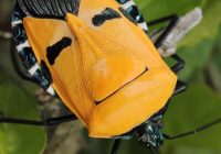 Risale Dersi 697: Hakikat Çekirdekleri 3 Risale Dersi 697: Hakikat Çekirdekleri 3