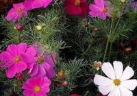 Risale Dersi 819: İman ve Küfür Muvazeneleri 1 Risale Dersi 819: İman ve Küfür Muvazeneleri 1