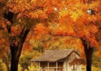 Risale Dersi 866: İman ve Küfür Muvazeneleri 48 Risale Dersi 866: İman ve Küfür Muvazeneleri 48