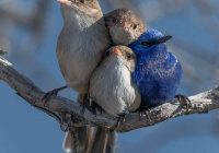 Risale Dersi 890: Kastamonu Lahikası 2 Risale Dersi 890: Kastamonu Lahikası 2