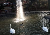 Risale Dersi 892: Kastamonu Lahikası 4 Risale Dersi 892: Kastamonu Lahikası 4