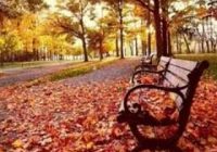 Risale Dersi 894: Kastamonu Lahikası 6 Risale Dersi 894: Kastamonu Lahikası 6