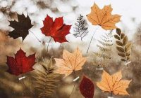 Risale Dersi 896: Kastamonu Lahikası 8 Risale Dersi 896: Kastamonu Lahikası 8