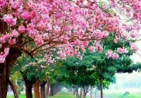 Risale Dersi 899: Kastamonu Lahikası 11 Risale Dersi 899: Kastamonu Lahikası 11