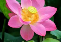 Risale Dersi 900: Kastamonu Lahikası 12 Risale Dersi 900: Kastamonu Lahikası 12