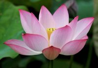 Risale Dersi 903: Kastamonu Lahikası 15 Risale Dersi 903: Kastamonu Lahikası 15