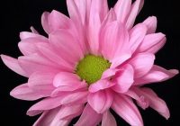 Risale Dersi 904: Kastamonu Lahikası 16 Risale Dersi 904: Kastamonu Lahikası 16